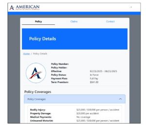 American Property & Casualty customer portal